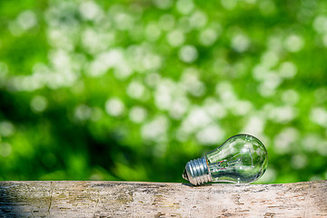 Image showing Lightbulb in green nature