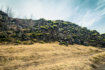 Image showing Green moss on black cliffs