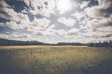 Image showing Countryside landscape with plains of flowers