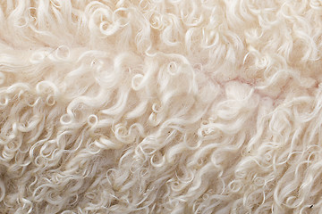 Image showing Wool texture for background