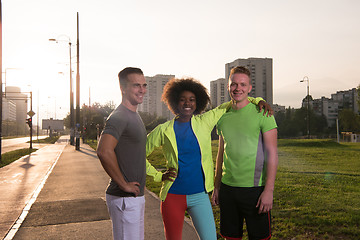 Image showing portrait multiethnic group of people on the jogging