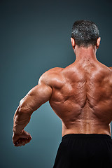 Image showing torso of attractive male body builder on gray background.