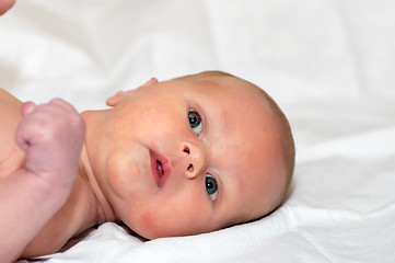 Image showing Nursing baby portrait