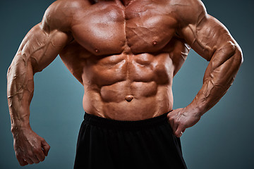 Image showing torso of attractive male body builder on gray background.