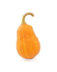 Image showing Pear-shaped orange ornamental pumpkin