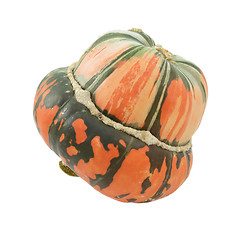 Image showing Orange and green striped Turban squash
