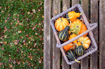 Image showing Orange, green and yellow ornamental gourds in a basket