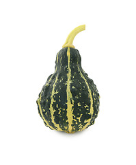 Image showing Green, stripey ornamental gourd