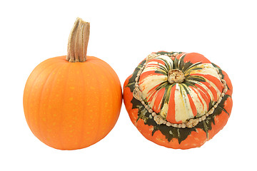 Image showing Small pumpkin and Turks Turban squash