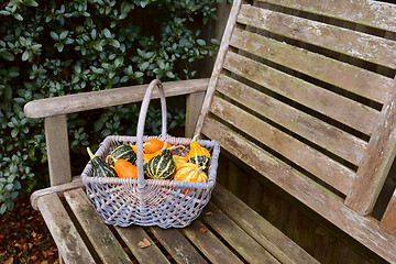 Image showing Woven basket full of orange, green and yellow ornamental gourds