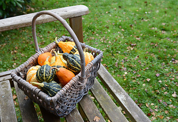 Image showing Rustic basket filled with a selection of ornamental gourds