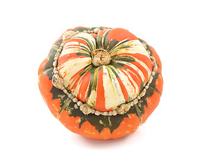 Image showing Orange, white and green Turks Turban squash