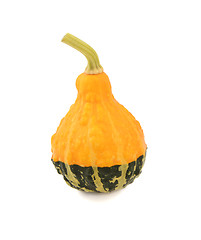 Image showing Yellow and green ornamental gourd