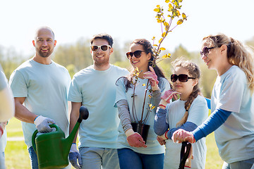 Image showing group of volunteers with trees and rake in park