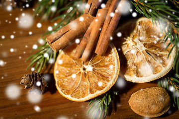 Image showing christmas fir branch, cinnamon and dried orange