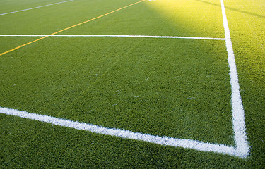 Image showing lines in the grass field