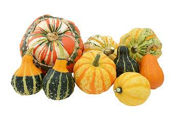 Image showing Selection of ornamental gourds with striped Turks turban squash