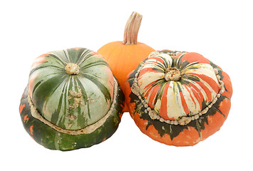 Image showing Two Turks turban squash with a small orange pumpkin