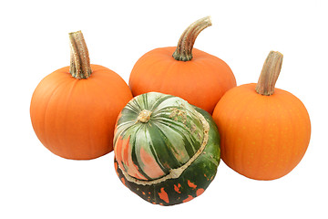 Image showing Green and orange Turks turban squash with three pumpkins