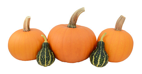 Image showing Three orange pumpkins with two green ornamental gourds