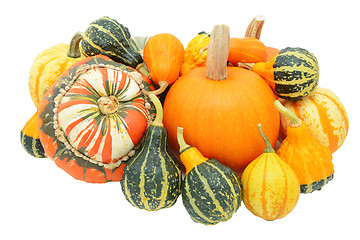 Image showing Group of autumnal gourds - pumpkins, turban squash and ornamenta