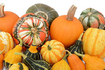 Image showing Pile of pumpkins and squashes with ornamental gourds