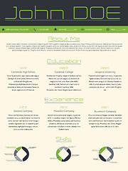 Image showing Modern curriculum vitae cv resume in green gray colors