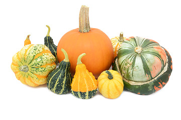 Image showing Pumpkin, Festival squash, Turks turban and ornamental gourds