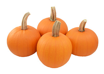 Image showing Four ripe orange pumpkins