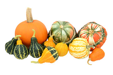 Image showing Selection of gourds, pumpkins and squashes