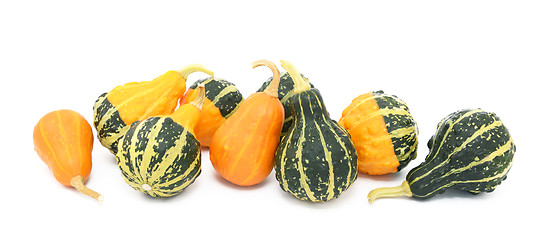 Image showing Green, orange and yellow ornamental gourds
