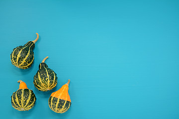 Image showing Green and yellow ornamental gourds on bright blue background