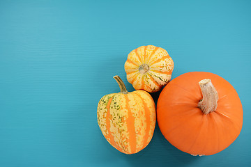 Image showing Orange pumpkin and boldly patterned squash on painted background