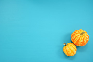 Image showing Two striped Festival squash on a teal background