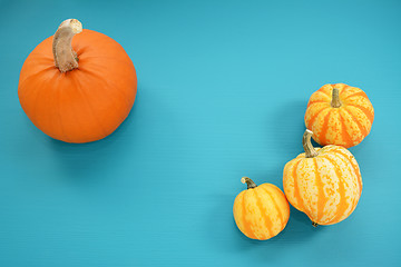 Image showing Orange pumpkin and yellow squash on teal painted wood