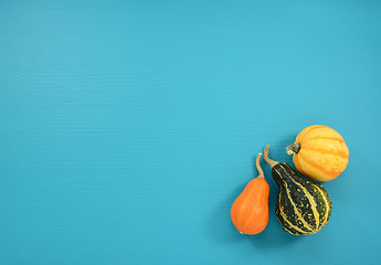 Image showing Orange, green and yellow gourds on a teal background