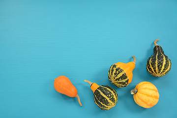 Image showing Five ornamental gourds and squash on a turquoise background