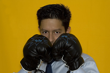 Image showing Boxing in business