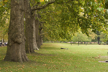 Image showing Resting in the park