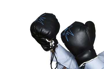 Image showing boxer gloves