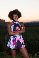 Image showing portrait of a young African-American woman in a summer dress