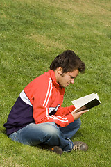 Image showing Reading in the park