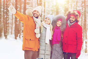 Image showing group of smiling men and women in winter forest