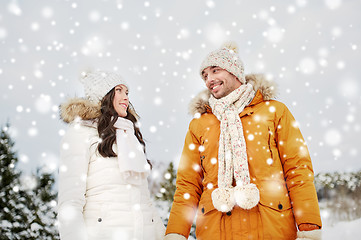 Image showing happy couple walking over winter background