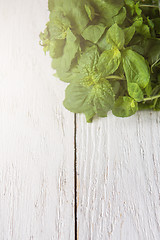 Image showing Fresh peppermint on wood
