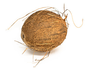 Image showing coconut on white background