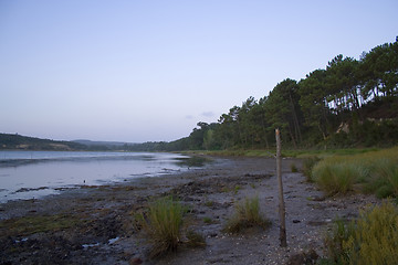 Image showing The morning lake