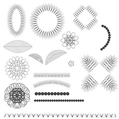 Image showing Set of  Floral Graphic Design Elements