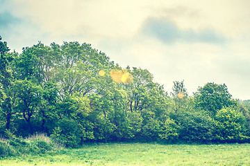 Image showing Landscape with magical golden bokeh