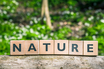 Image showing Nature sign on a wooden branch